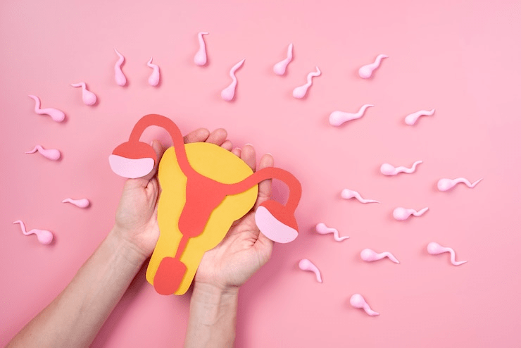 Azoospermia: Causes, Diagnosis, and Treatment Options