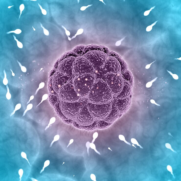 Can sperm come back after azoospermia?