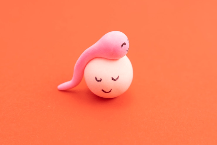 What happens if your sperm count is 0?