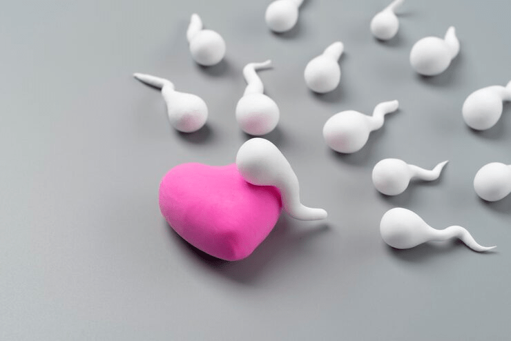 How Much Is Donor Sperm IVF