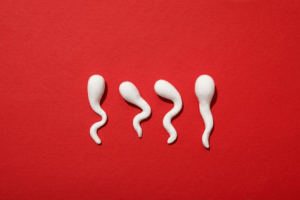 Low Sperm Count After Vasectomy
