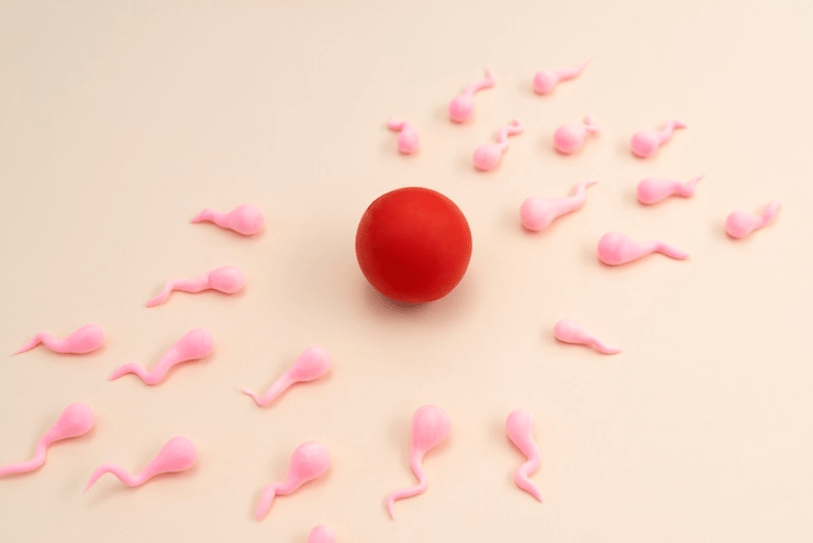 zero sperm count how to increase