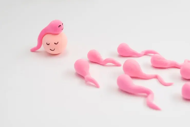 Can Dead Sperm Be Reactivated? Understanding Sperm Health and Fertility Options