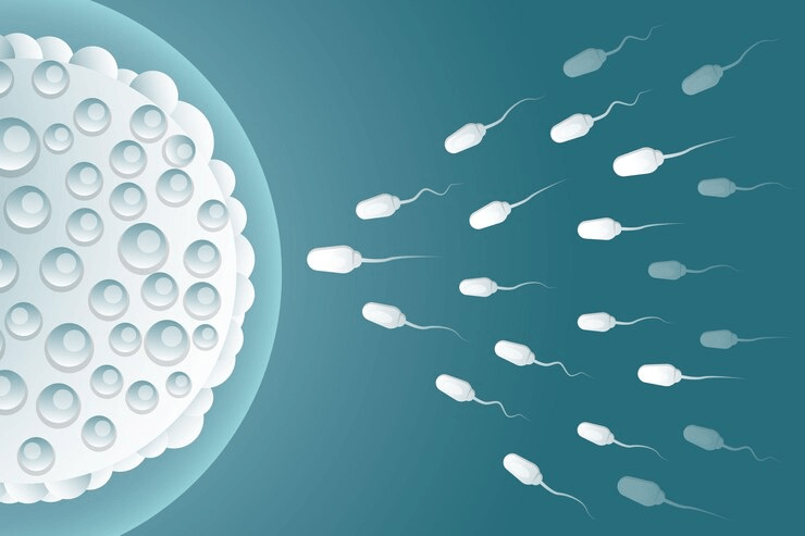 Can sperm be revived?
