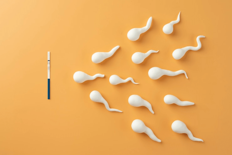 Zero Sperm Confirmation After Vasectomy: Everything You Need to Know