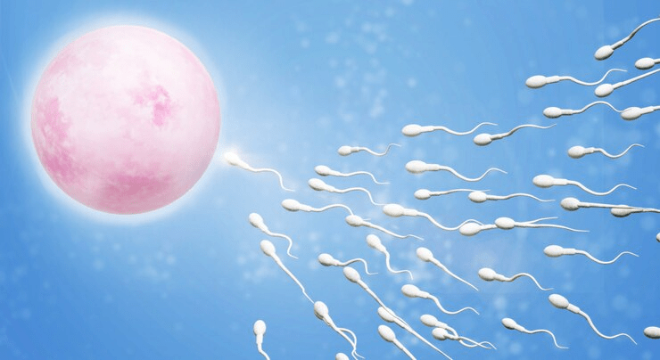 Boost sperm production