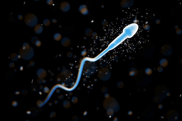 Understanding Prolistem Technology: Revolutionizing Stem Cell and Regenerative Medicine