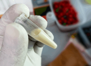 Sperm retrieval techniques