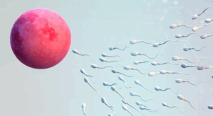 Promising Cure for Azoospermia 2025