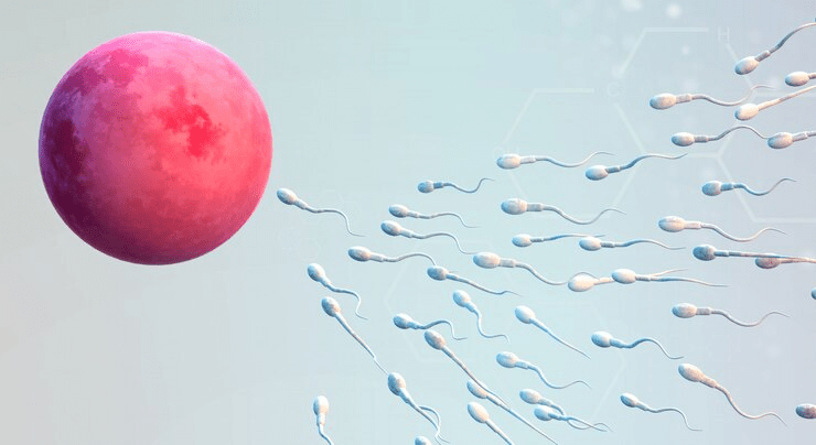Promising Cure for Azoospermia 2025