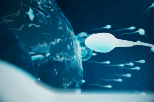 innovative solution for azoospermia