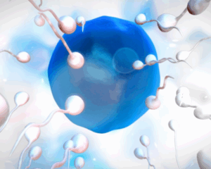 Future Solutions for Male Infertility